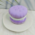 Slow Rising Macaron Cake Squishy