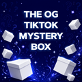 The OG TikTok Mystery Box